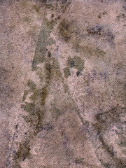 vintage aged background old paper