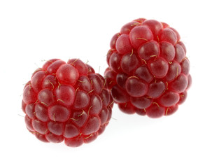 Framboises