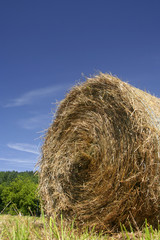 Rolled straw