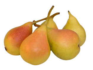 isolated pears on white background