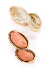 Peanuts with white background, close up
