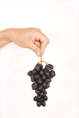 Fruit, grapes in a women hand, isolated, white background