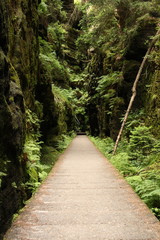 Wanderweg