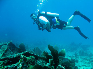 Naklejka na ściany i meble Shots of scuba diving in the Florida keys