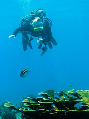 Fototapeta na wymiar Shots of scuba diving in the Florida keys