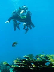 Gardinen Tauchen Shots of scuba diving in the Florida keys  © Dennis Connelly