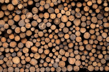 legna accatastata