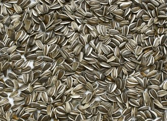 sunflower seeds