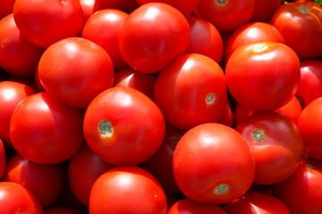 Background of red freshly picked tomatoes