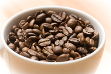 Fototapeta premium Cup with freshly roasted coffee beans