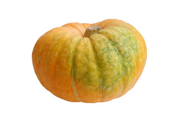 Yellow pumpkin isolated on white
