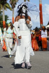 Naklejka premium Carnaval14