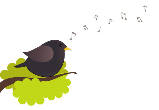 Chant oiseau