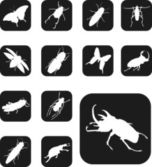 Set buttons. Insects