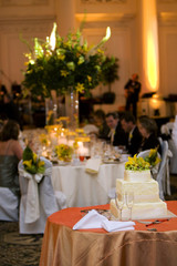 Wedding Reception