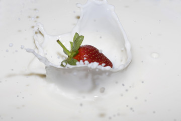 splashing strawberry into a milk