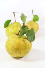 Three mellow pears