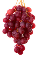 bunch of  red  grape isolated on white