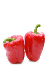 Red paprika on a white background