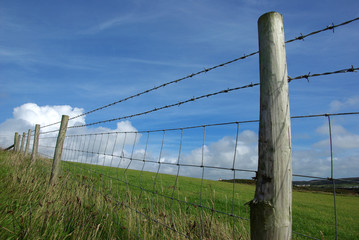 Fence with barbed wire in the countryside.