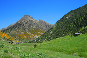 Fototapeta na wymiar Vall d'Incles krajobraz z Alt Juclar szczyt de w tle.