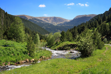 Mountain stream in Vall de Ransol (Pyrenees, Andorra).