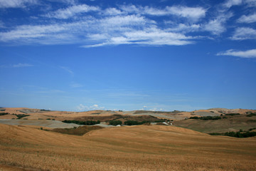 Fototapeta premium Toskana. Sommerlandschaft in der Provinz Siena
