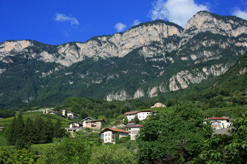 Fototapeta na wymiar Südtiroler Weinstrasse
