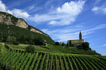 Fototapeta na wymiar South Wine Droga Tyrolu