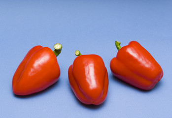 Red peppers isolated on blue background