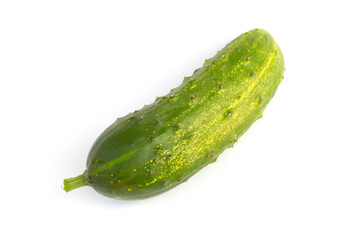 Fresh cucumber