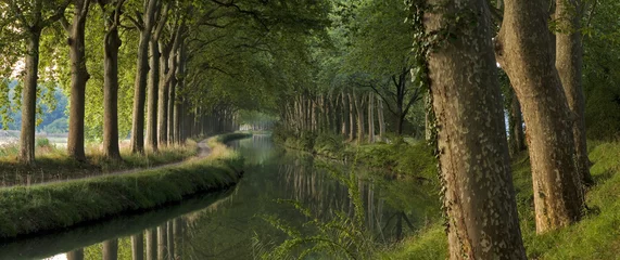 Rolgordijnen Panoramic scene of Le Canal du Midi, Toulouse © Julien BASTIDE