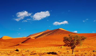 Fototapeta na wymiar Wydmy z Pustynia Namib, Sossusvlei, Namibia