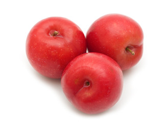 fresh red plum on white background