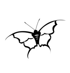 A beautiful butterfly vector design