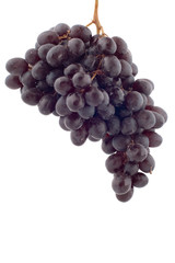 object on white - food Black grapes