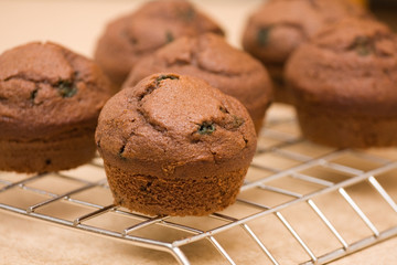 Six freshly baked chocolate-mint muffins