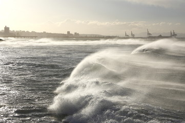 dramatic huge waves blown by strong winds