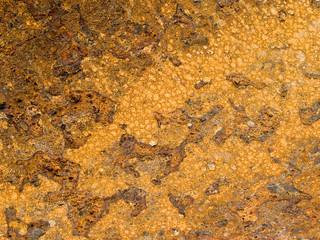Texture of rusty metal for a background