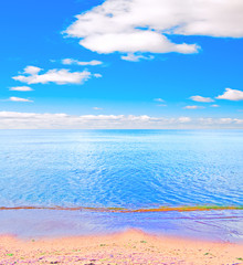 Obraz premium sunny beach