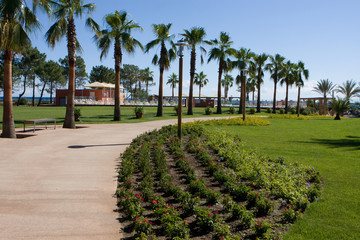 Obraz premium Jardin