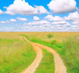 Fototapeta premium country road