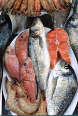 Fresh Serving Fishes