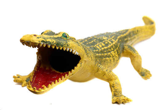 Crocodile toy isolated on white