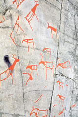 ancient rock carvings (petroglyphs) in Alta, Norway