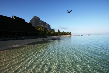 Vuelo sobre le Morne, Mauricio
