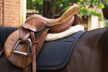 Saddle