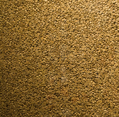 Raw Coffee Beans before roasting