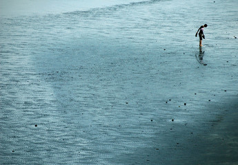 strandlaeufer