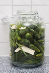 a jar of freshly pickled cucumbers. polish delicacy